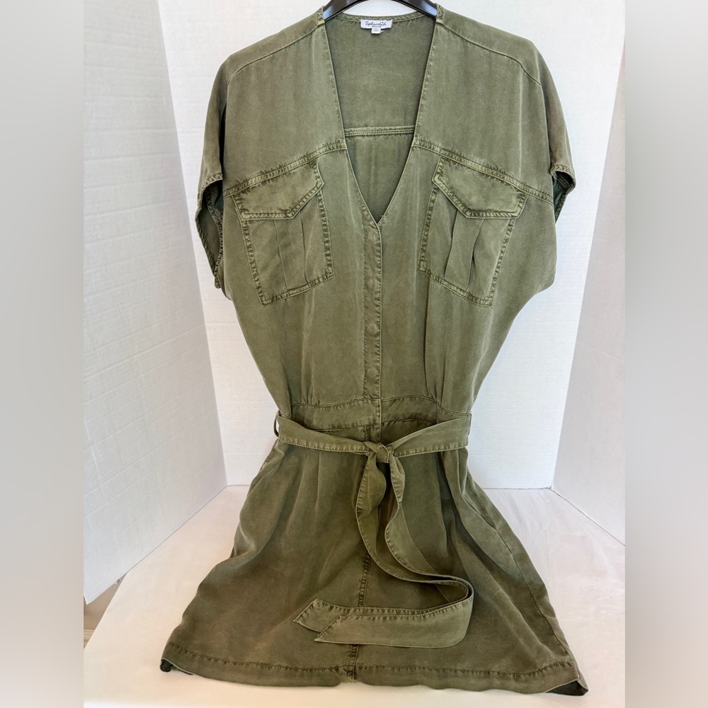 Splendid Sage Green Dress with Belt